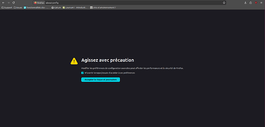 Capture d’écran du 2026-02-09 16-30-43